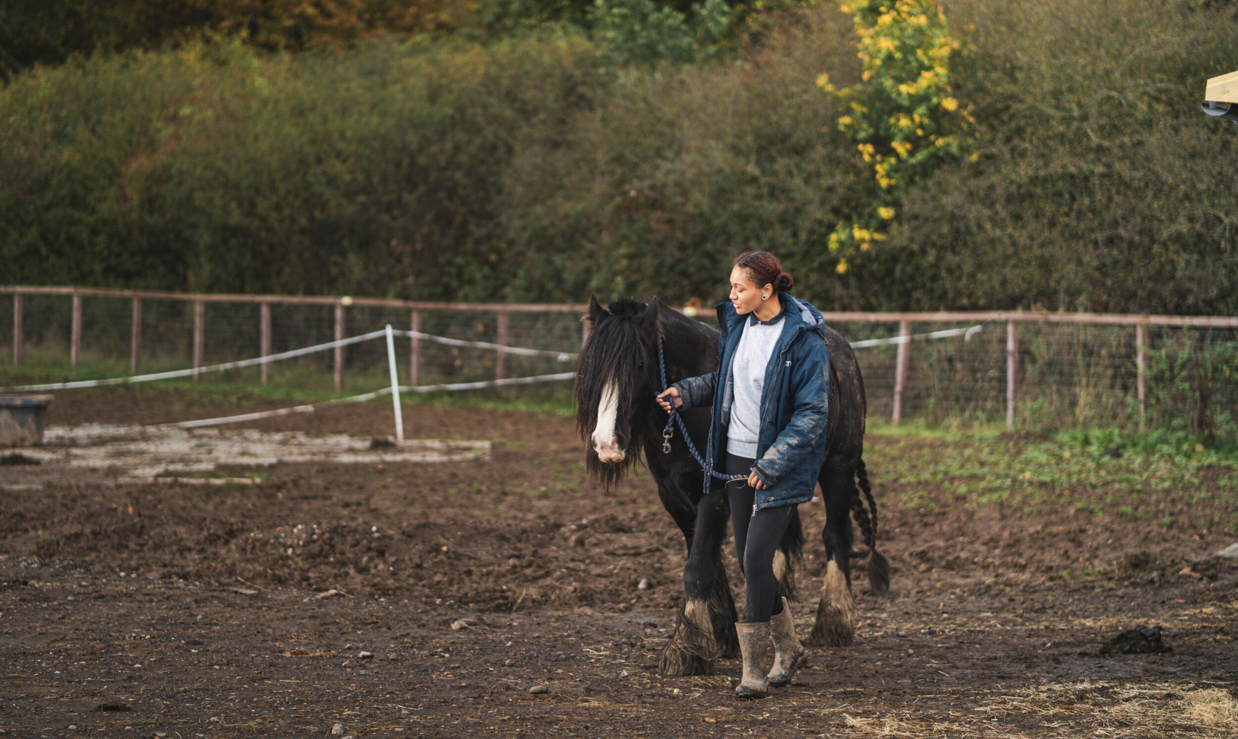 SLTH horse being led out of stable