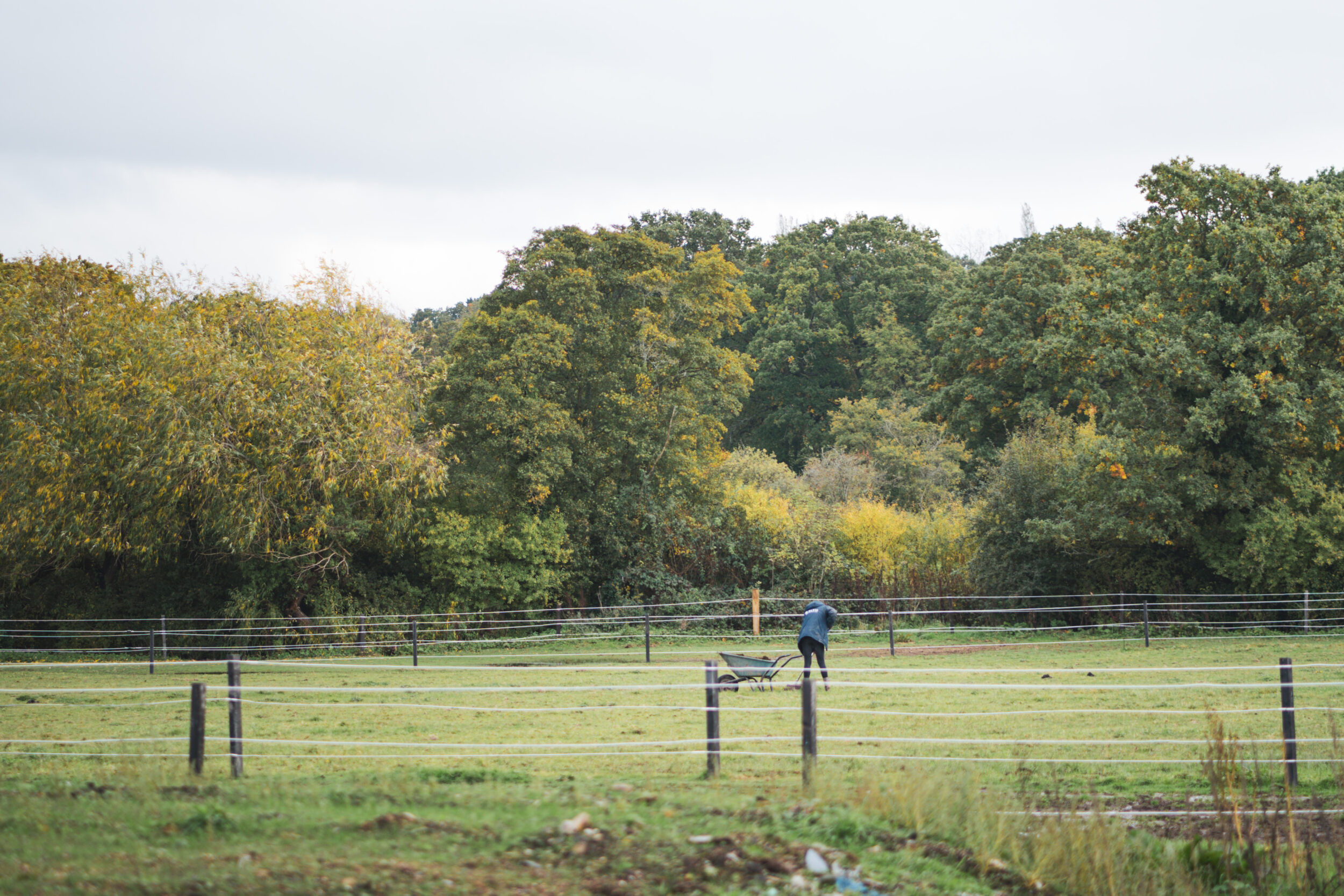 Person in field with wheelbarrow at Strength and Learning Through Horses